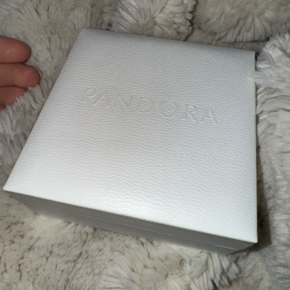 Pandora Bracelets with Charms - Picture 5 of 6